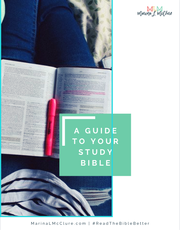 Guide to Your Study Bible Cover Preview Image